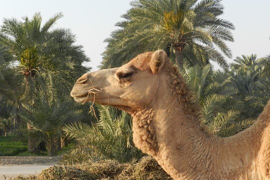 Tour image 5