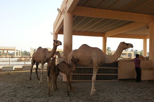 Tour image 6