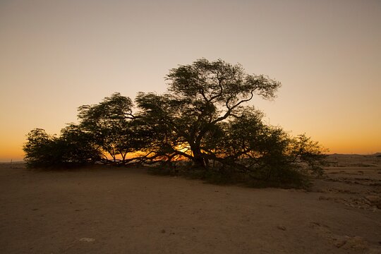 Tour image 6